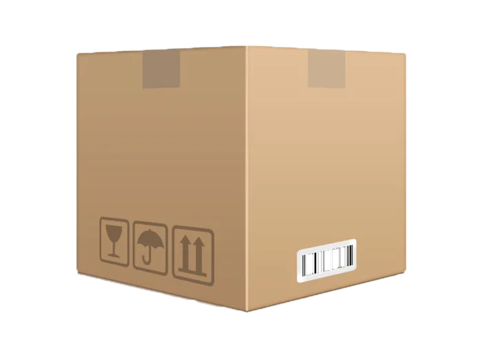 Cardboard delivery box